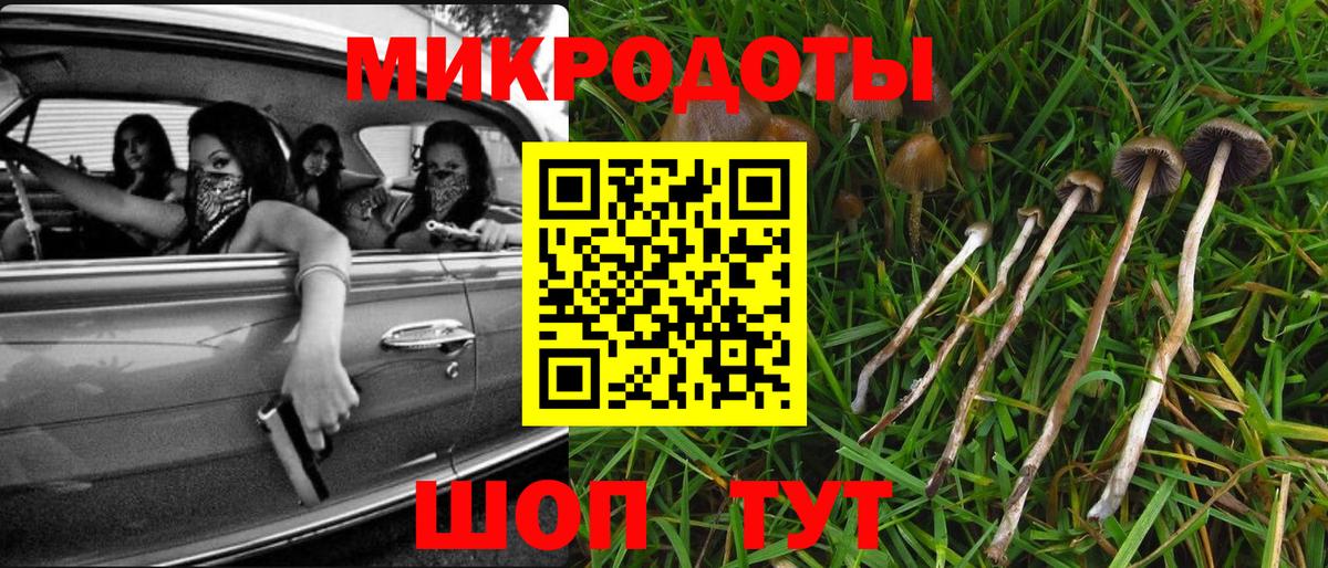 Магнитогорск  Псилоцибиновые грибы GOLDEN TEACHER  Вход с VPN 